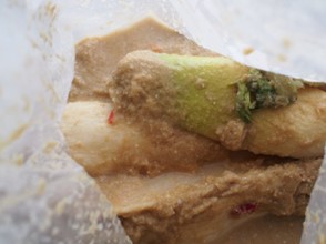 ~発酵料理基礎講座~自家製たくあん仕込み  1月30日(金) 002