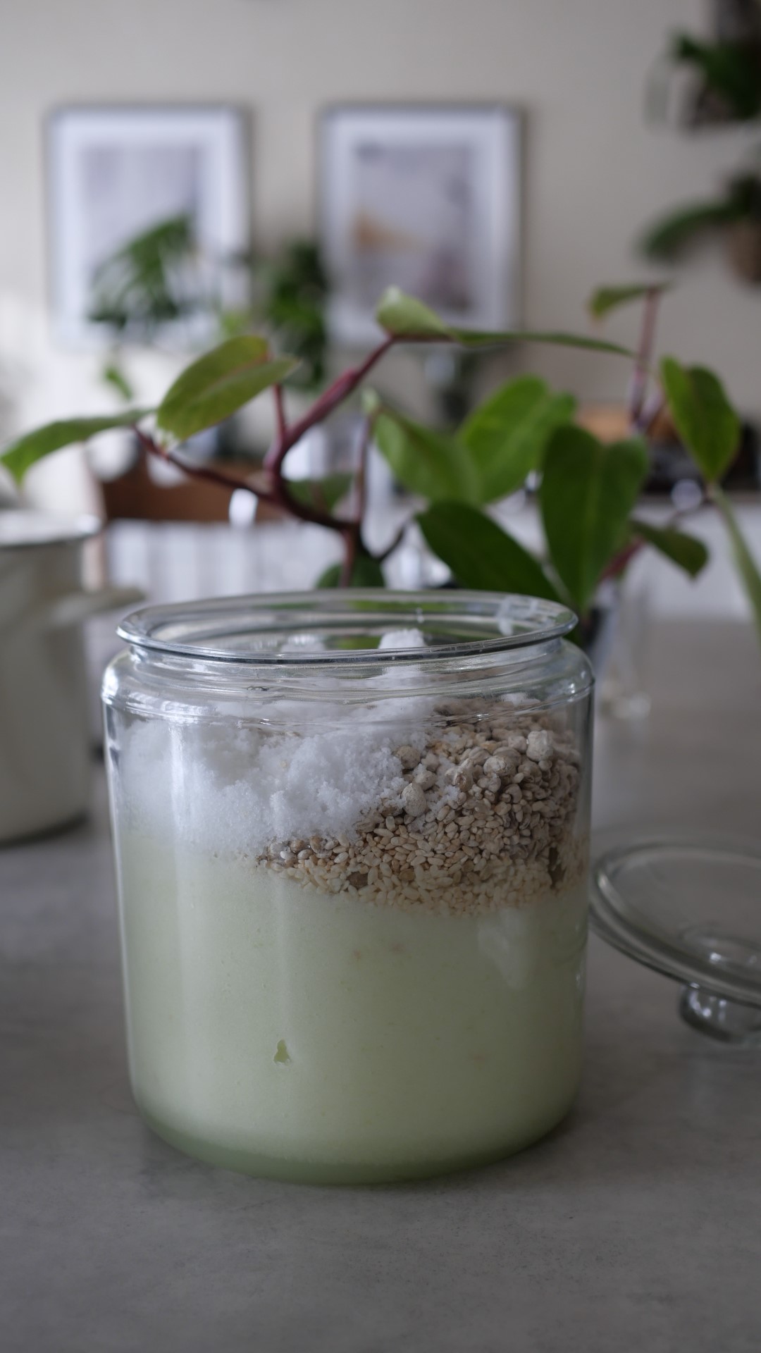 ~発酵×栄養学~美養食講座 【タンパク質】「女性が本当に足りていない栄養を味方につける」4/3(金) 001