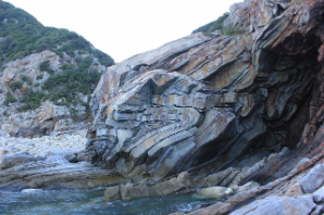 【4/4(土)体験】現地と座学で深める『ちがく散歩』-身近な自然や防災・環境を知る- 001