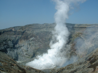 【4/4(土)体験】現地と座学で深める『ちがく散歩』-身近な自然や防災・環境を知る- 001