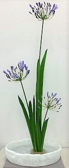 ~花・色・香りに親しんで~未生流本科 002