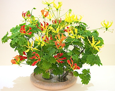 ~花・色・香りに親しんで~未生流研究科 002