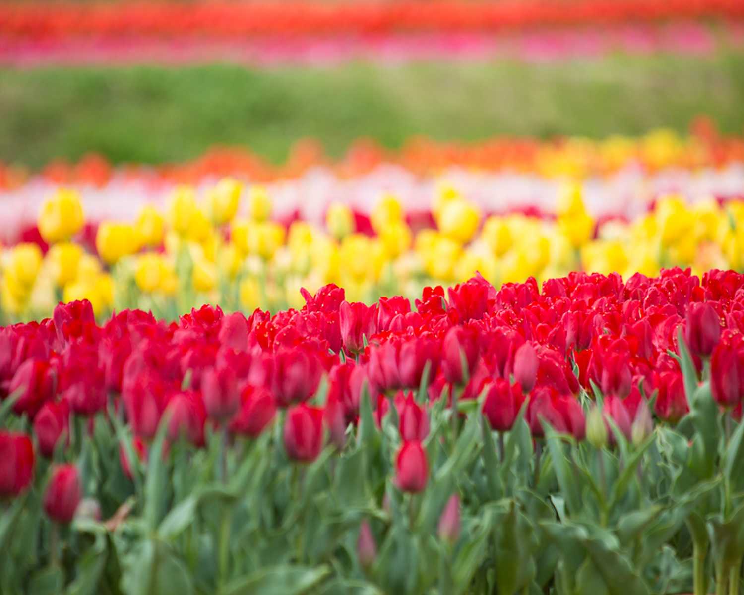 初心者のためのスマホ・コンデジで楽して楽しむ写真教室 001