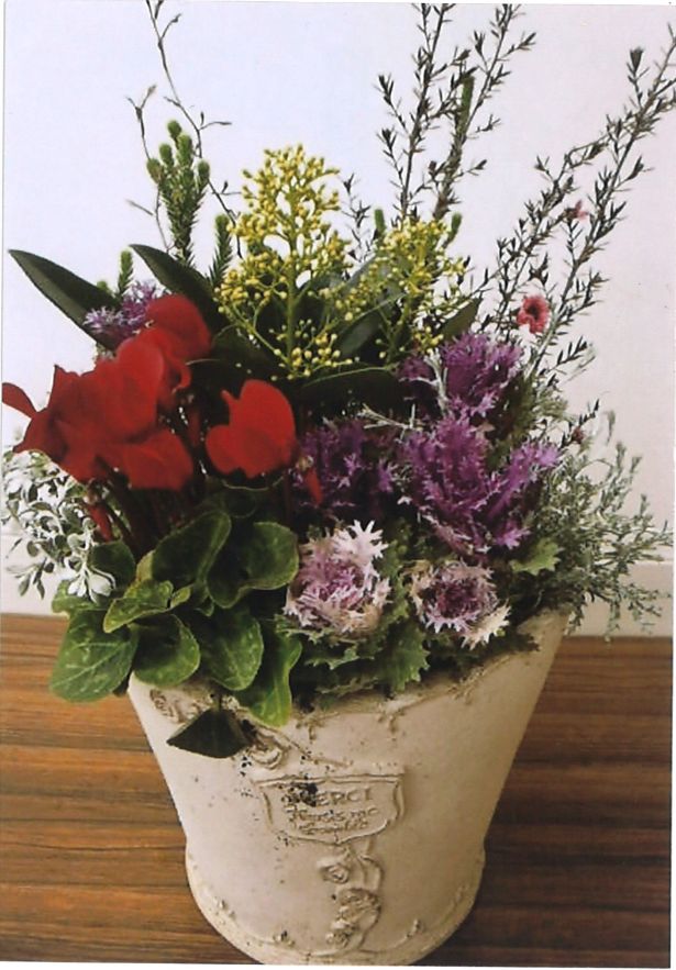【12/20(日)1日講習会】迎春用に華やかな寄せ植えを作りましょう 001