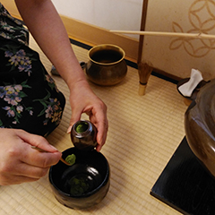 表千家（本科）月３回