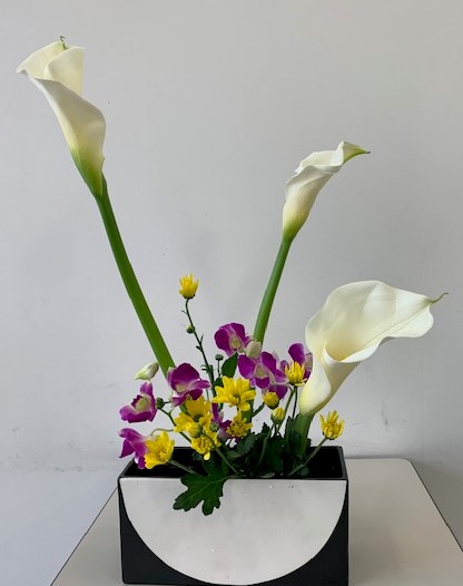 池坊（研究科）