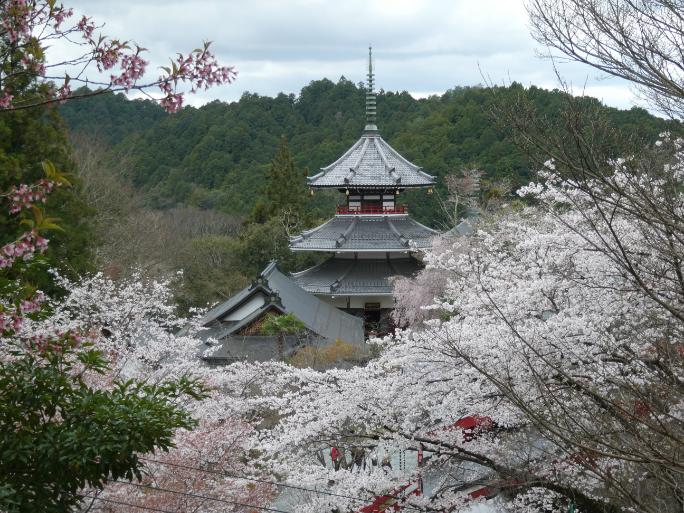 （近鉄百貨店特別企画）４／４■文化財や歴史の蘊蓄にふれながら健康的に歩く－一目千本　吉野の桜「吉水神社」と「金峯山寺　蔵王堂」特別拝観　（現地講座）