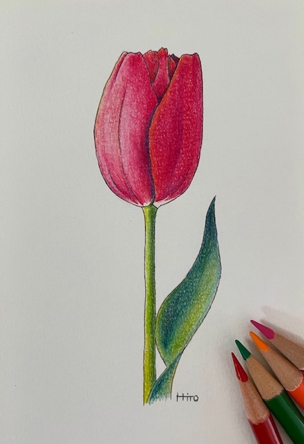 やさしい色鉛筆