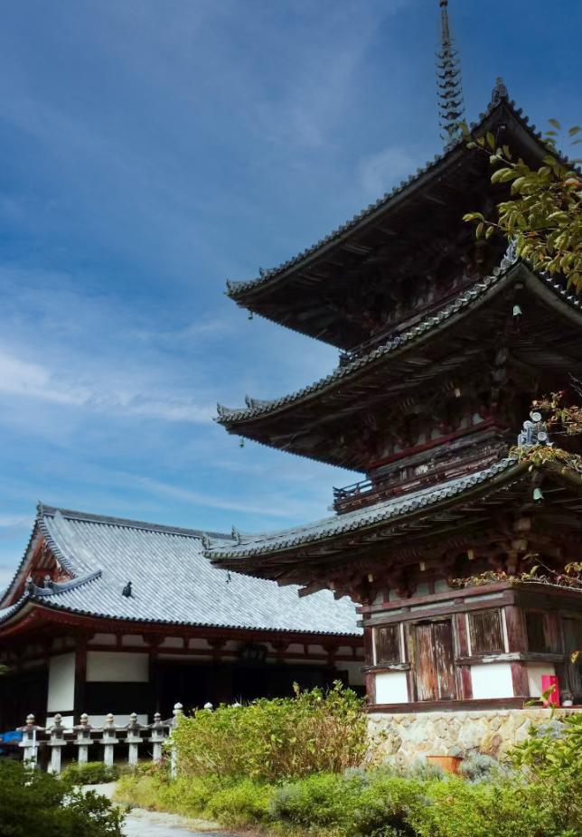 ２０２５／１２／０９　元興寺文化財研究所協力講座　近畿の寺・城・墓　なぜ「寺は壺坂」なのか　－山寺の古代・中世－