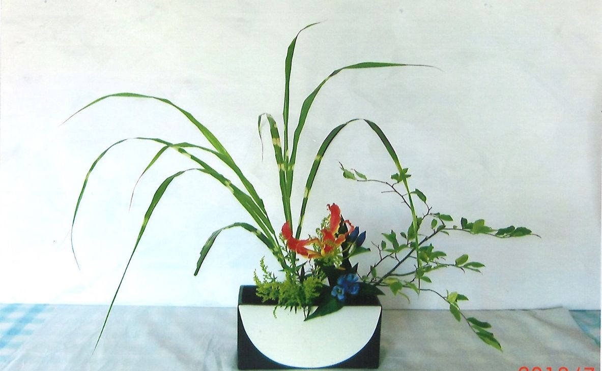 池坊＜本科＞