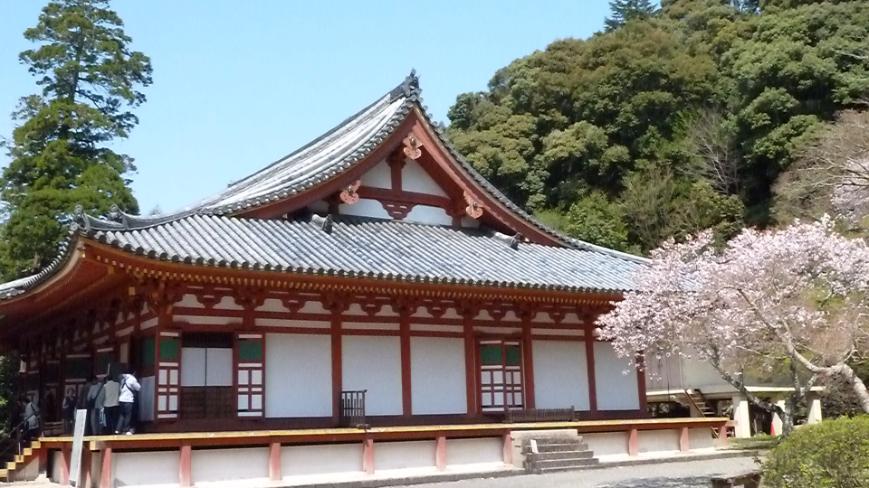 （近鉄百貨店特別企画）４／１８■文化財や歴史の蘊蓄にふれながら健康的に歩く　観心寺　秘仏本尊　如意輪観音像　御開帳　－現地講座－