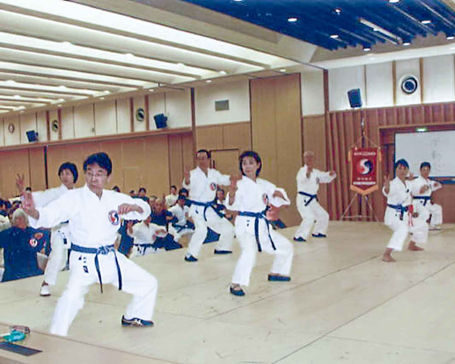 楊名時太極拳　気功八段錦