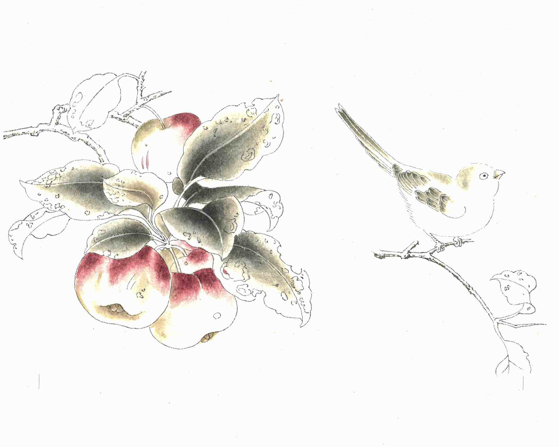 「蘊承軒」伝統絵画模写創作講座