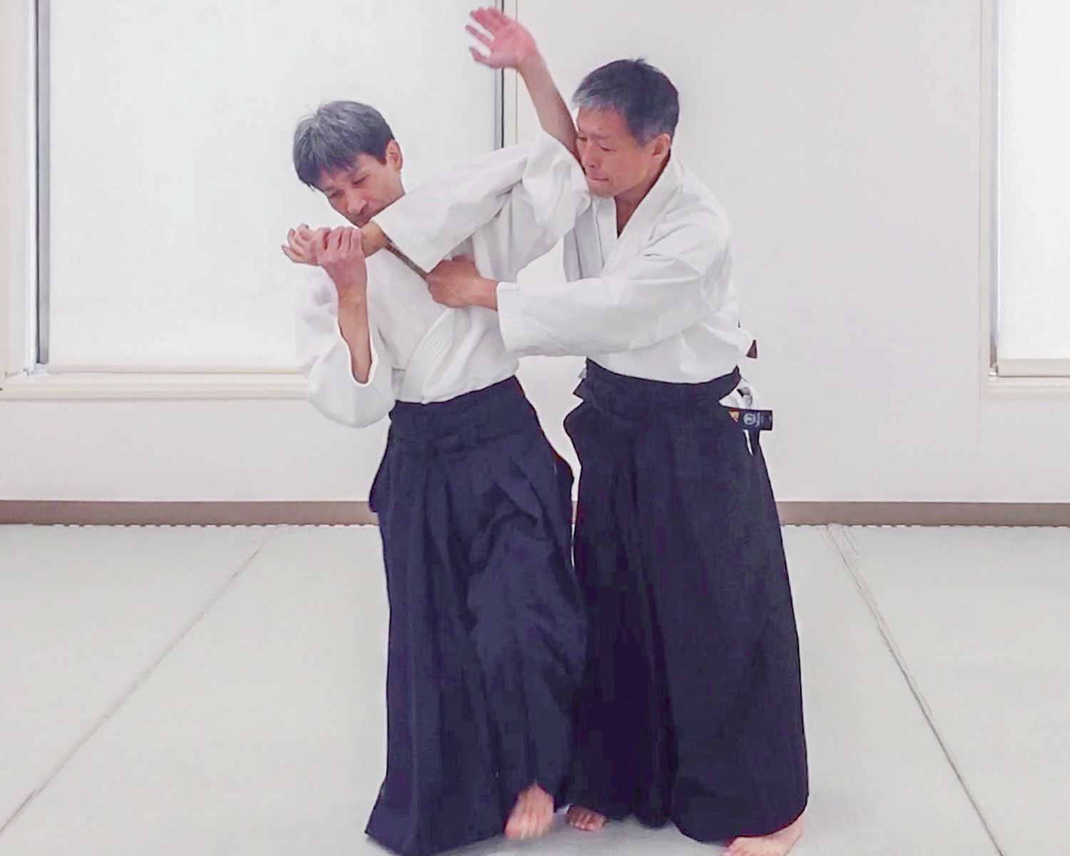 【ビジターレッスン】古武道　大東流合氣柔術〈入門〉