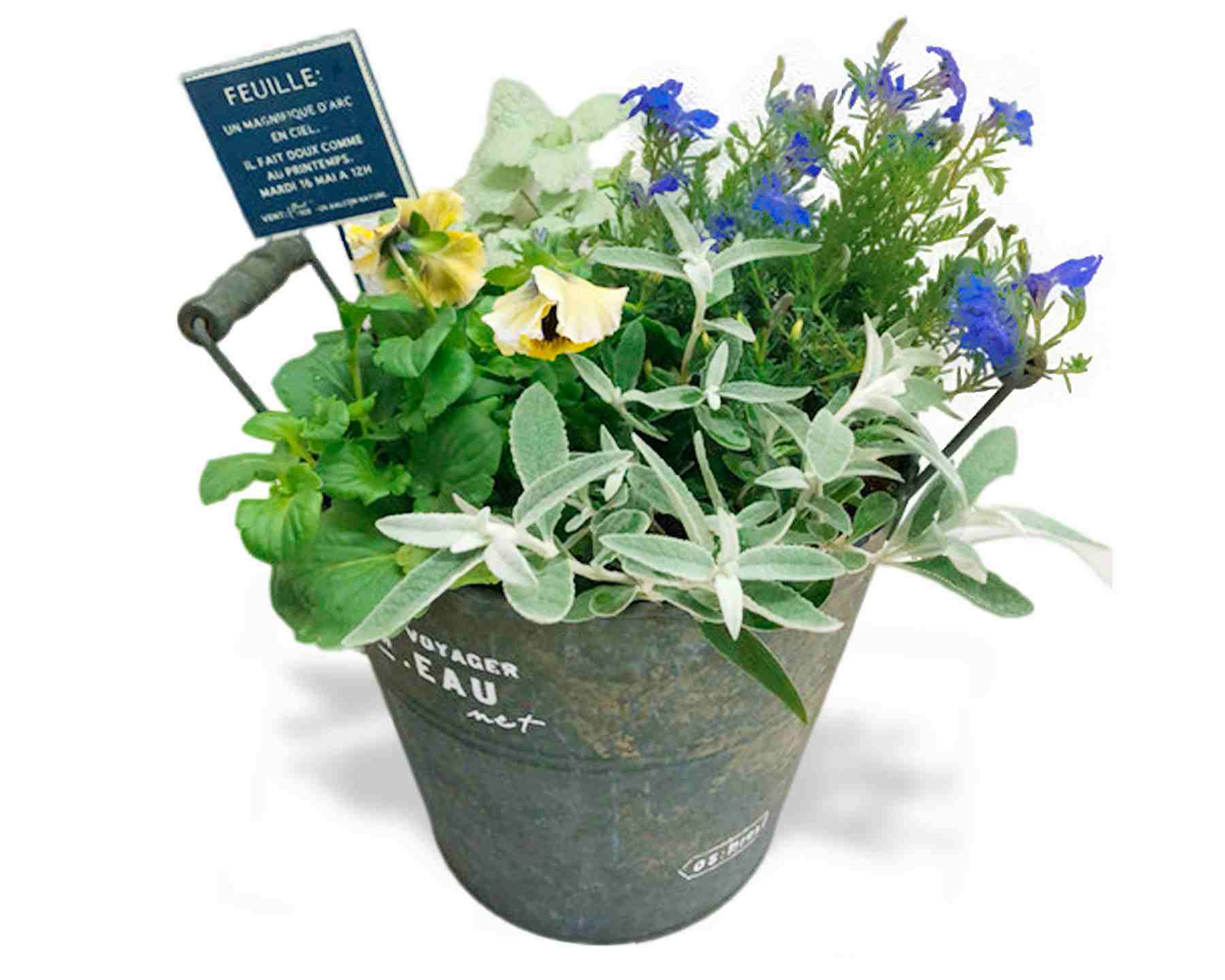 素敵な寄せ植えガーデニング