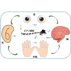 ～新しい音楽とのふれあい～ピアノで脳トレしましょ♪