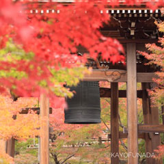 ステキ写真を撮る！ポイントで学ぶ　初心者カメラレッスン　　（月１回）