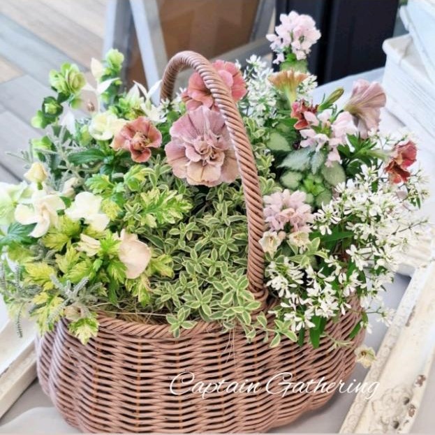 キャプテントヨダの寄せ植えギャザリング