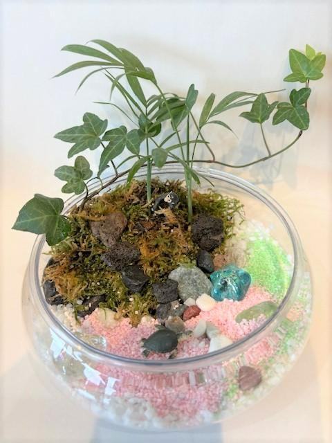 【７／２３（水）夏のおすすめ１日講習会】苔や観葉植物を使って小さな卓上庭園を作りましょう！〈小学生～大人〉