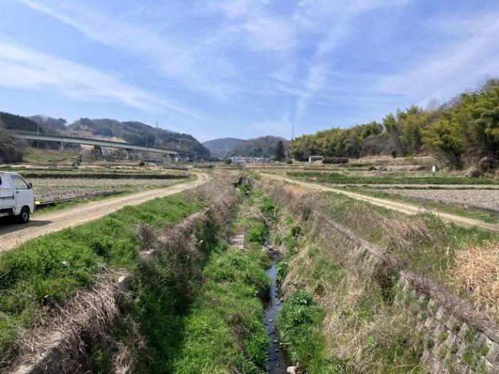 【５／１０（日）初夏の現地講習会】ちがく散歩～二上山屯鶴峯とガーネット探し～