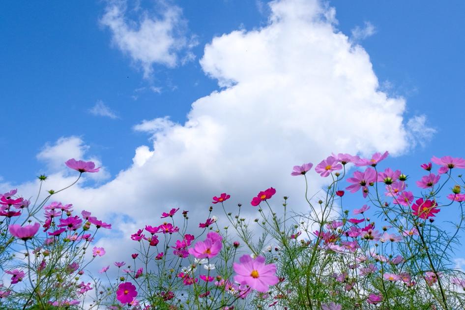 季節の写真教室