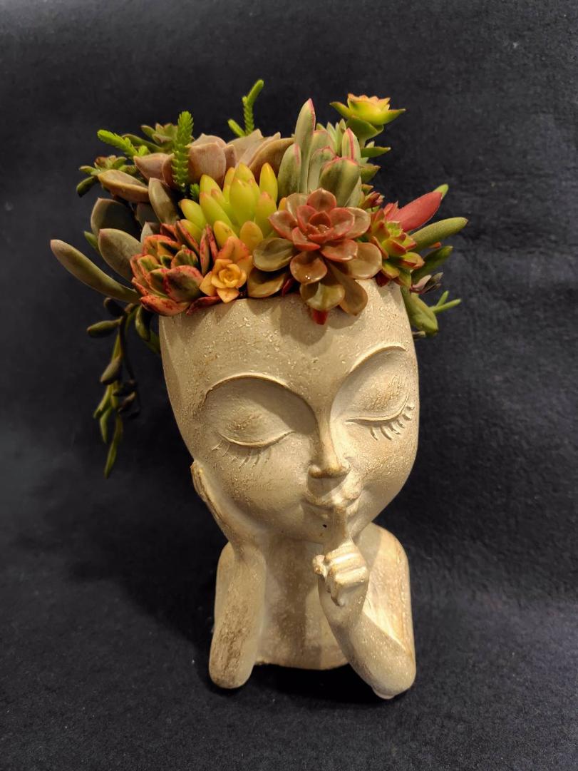 ２／２８おしゃれな多肉植物寄せ植え・鉢付き