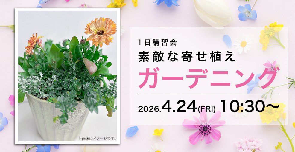 素敵な寄せ植えガーデニング